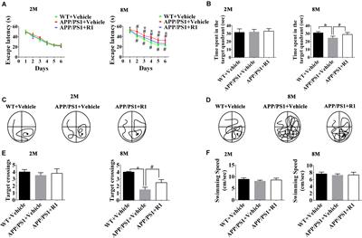 Notoginsenoside R1–Induced Neuronal Repair in Models of Alzheimer Disease Is Associated With an Alteration in Neuronal Hyperexcitability, Which Is Regulated by Nav